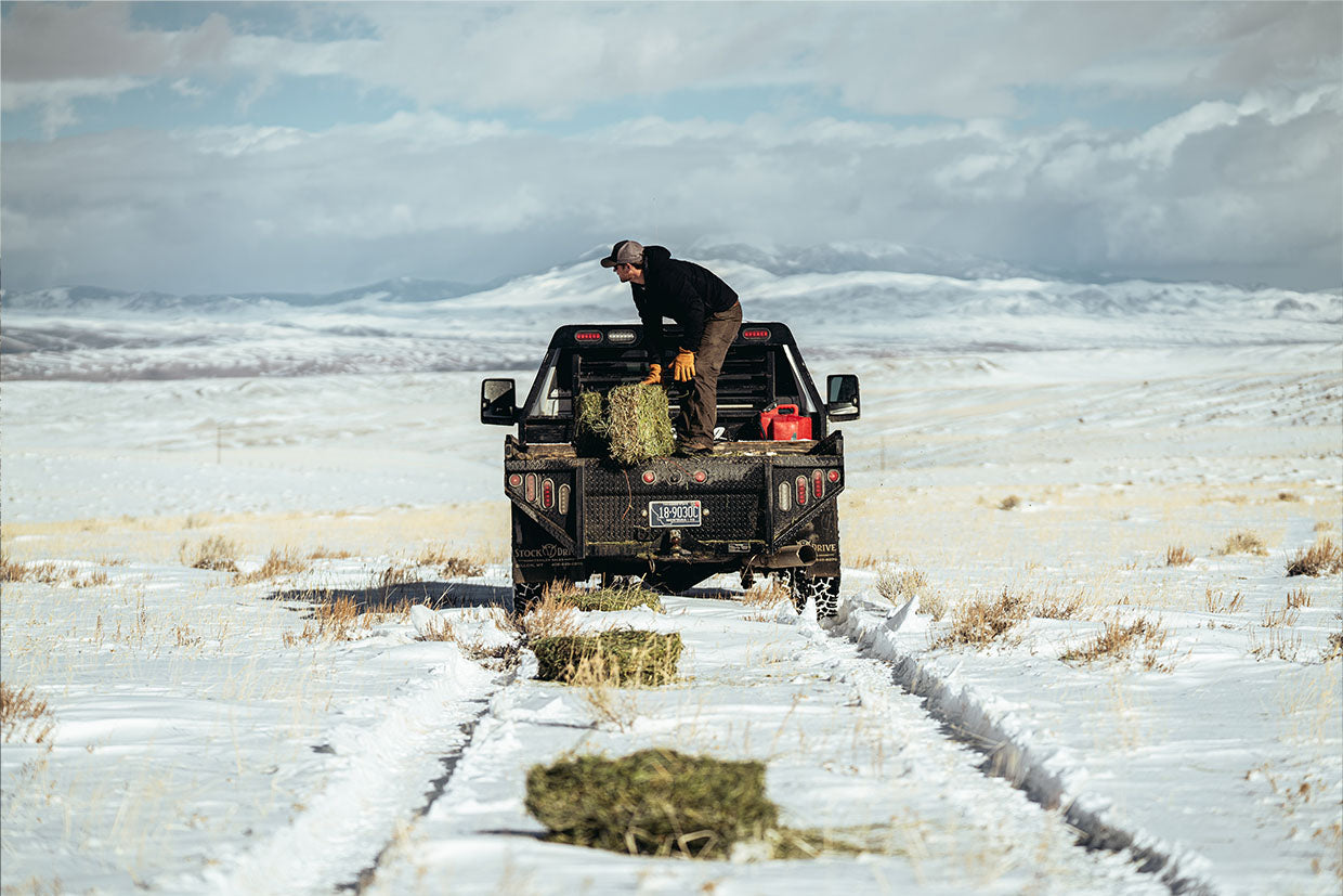 A Montana rancher on his truck in the snow.