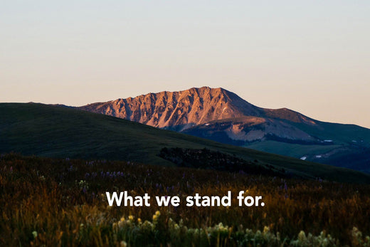 The mountains of Montana.