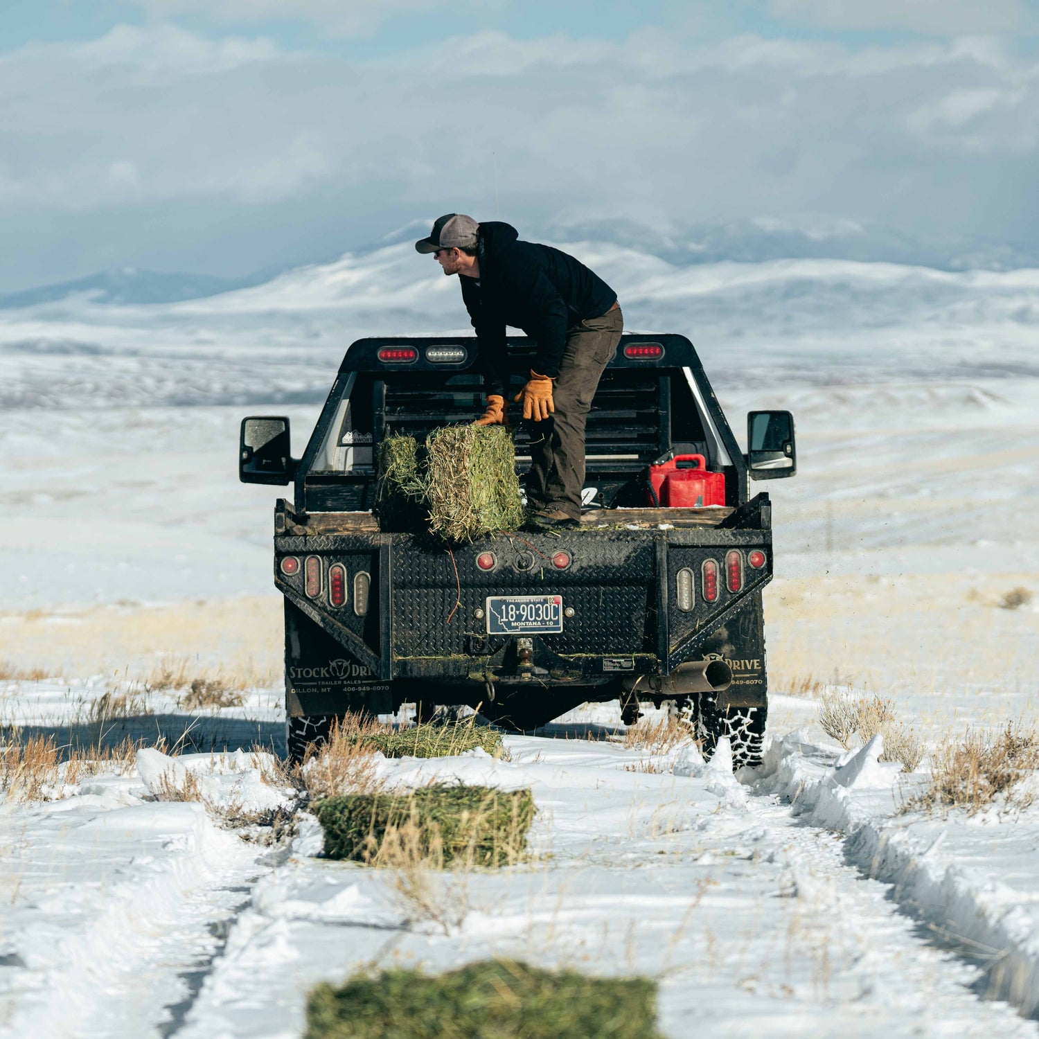 Sheep on the Winter Range: A Battle Against the Elements