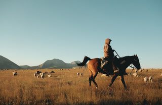 A real sheep rancher in Montana. 