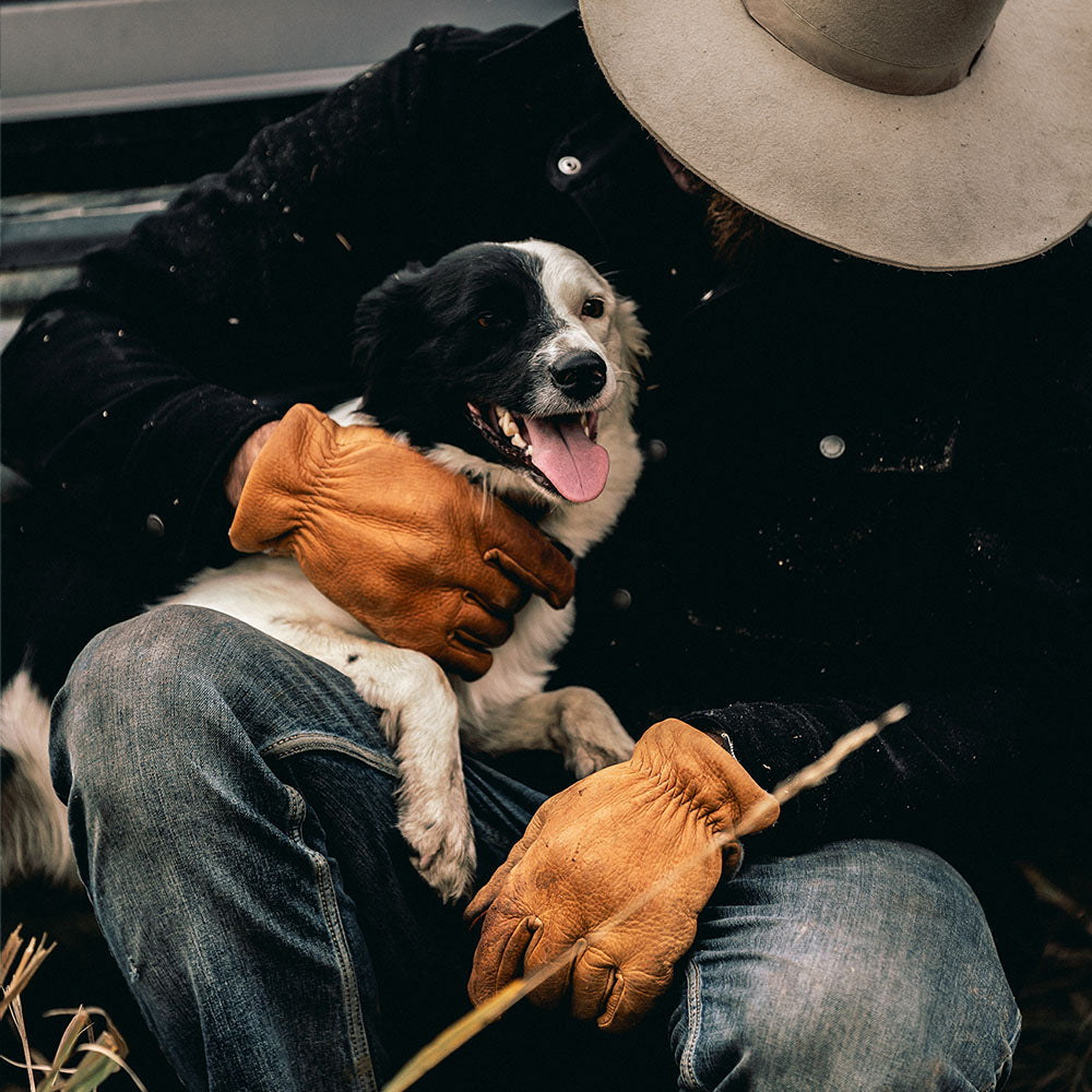 A cowboy wearing wool fleece lined leather work gloves with a dog. 